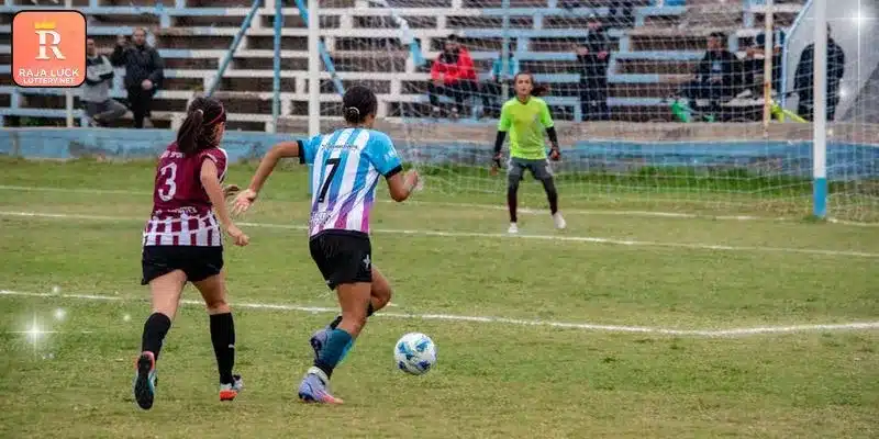 A basic summary regarding the Rainbet betting site