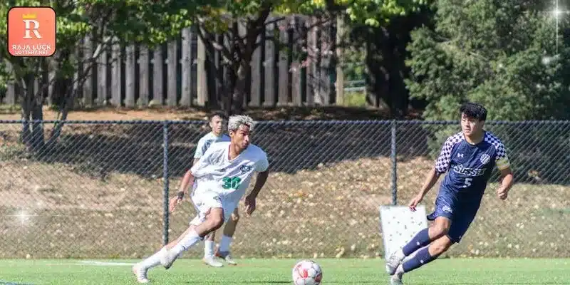 Dafabet - A Comprehensive Guide For Professional Players