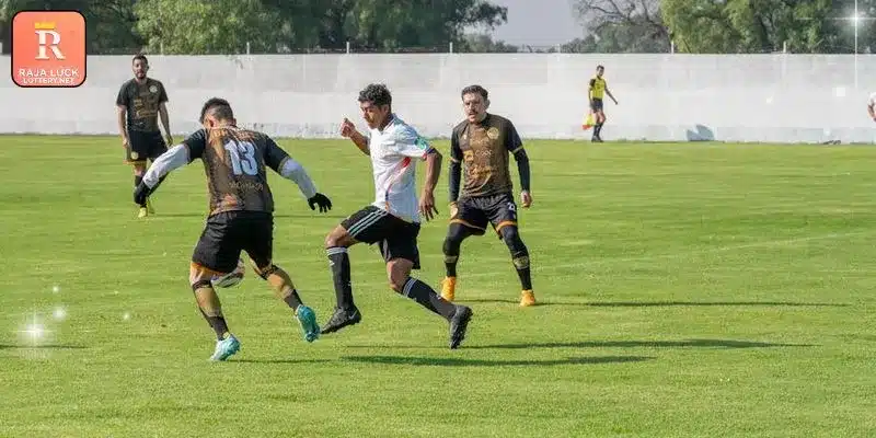 Rainbet - Comprehensive Analysis of the Betting Platform