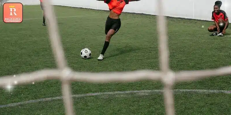 Stake - Comprehensive Review Of A Leading Platform