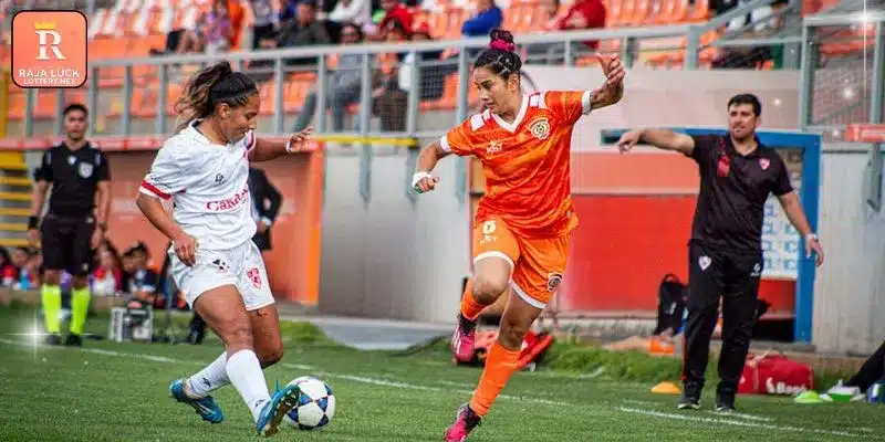 Characteristics of the current sports entertainment system