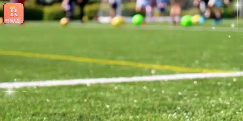 Discovering various gambling options for online members