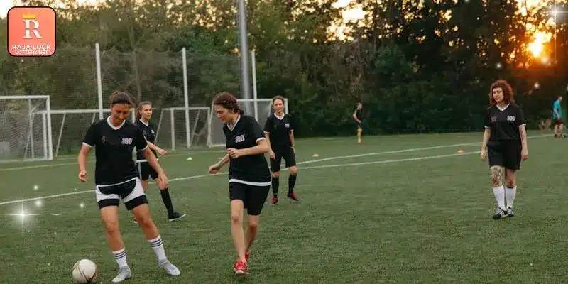 General overview of the features found in Dafabet