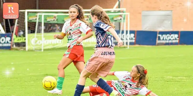 Important aspects and utilities for local gaming participants