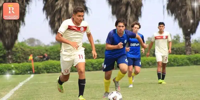 Outstanding services offered to participants on this site