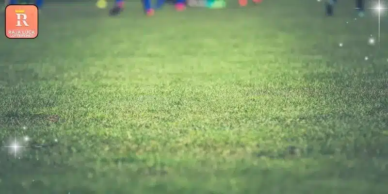 Technical advantages of using the main wagering platform