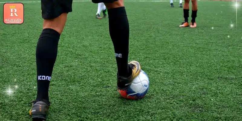 Various entertainment sections for active online gaming members