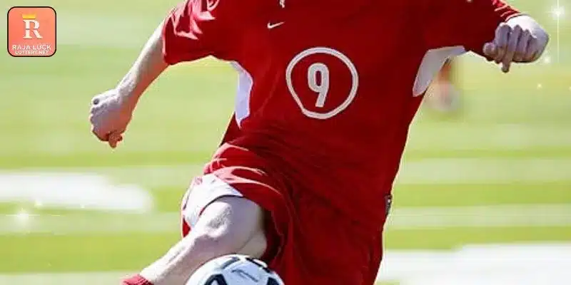 Various gambling categories for active members in India