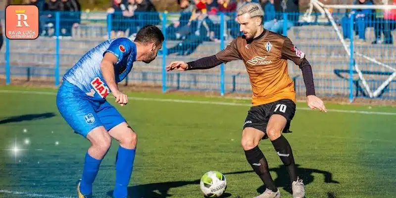 Various gaming categories for every active member