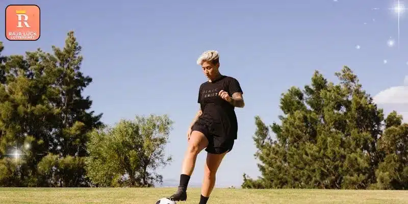 Various services available on the digital betting portal